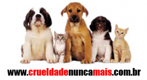 crueldade2