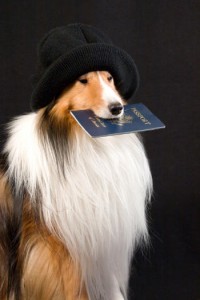 petpassport