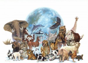 animais todos