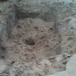 Cães são enterrados vivos na China