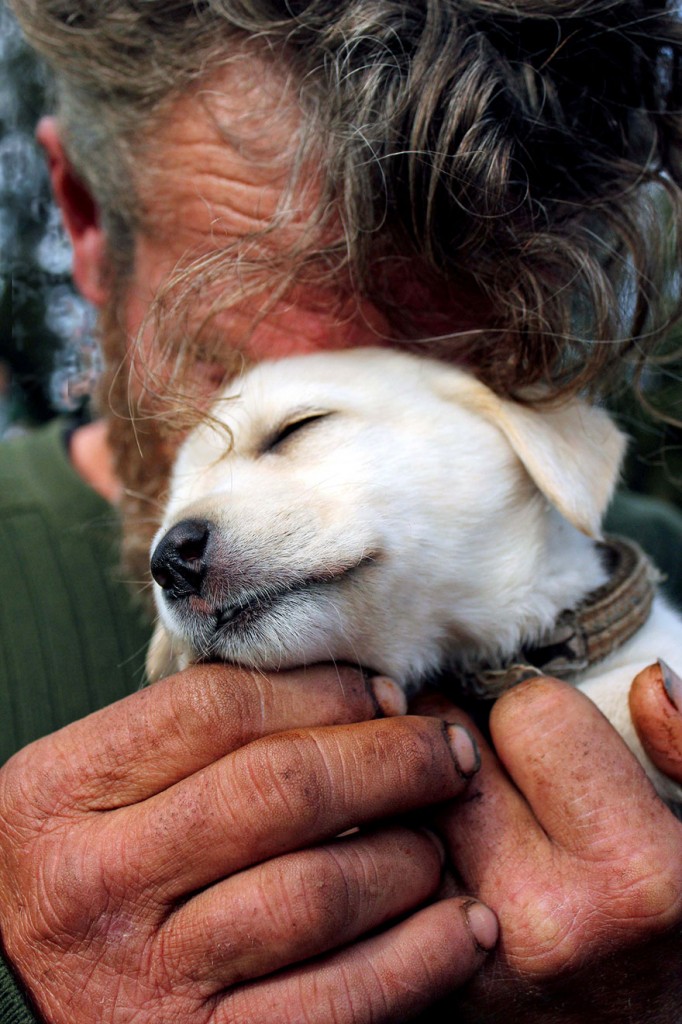 homeless-dogs-and-owners-10