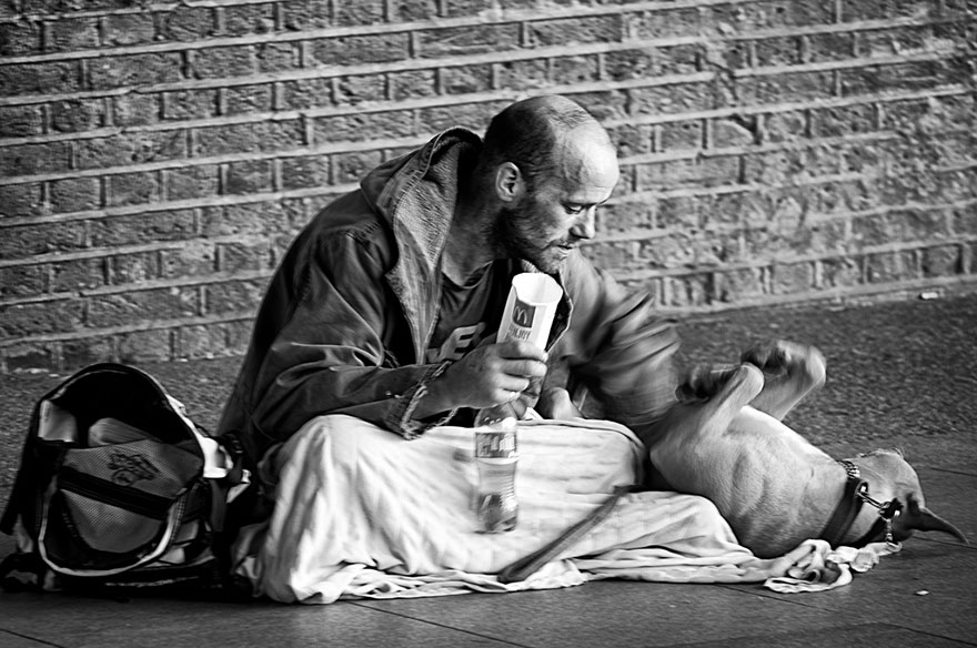 homeless-dogs-and-owners-11