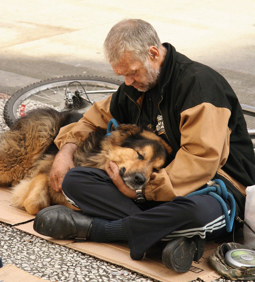 homeless-dogs-and-owners-32