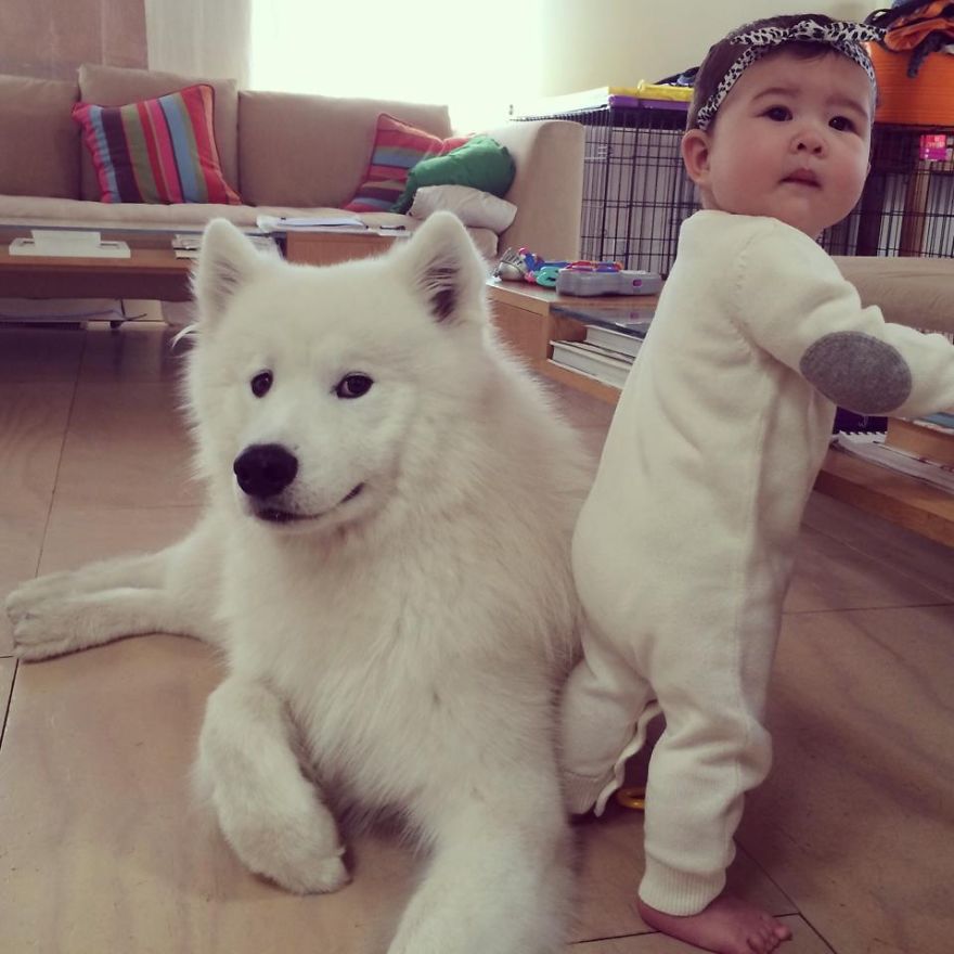 small-babies-children-big-dogs-20