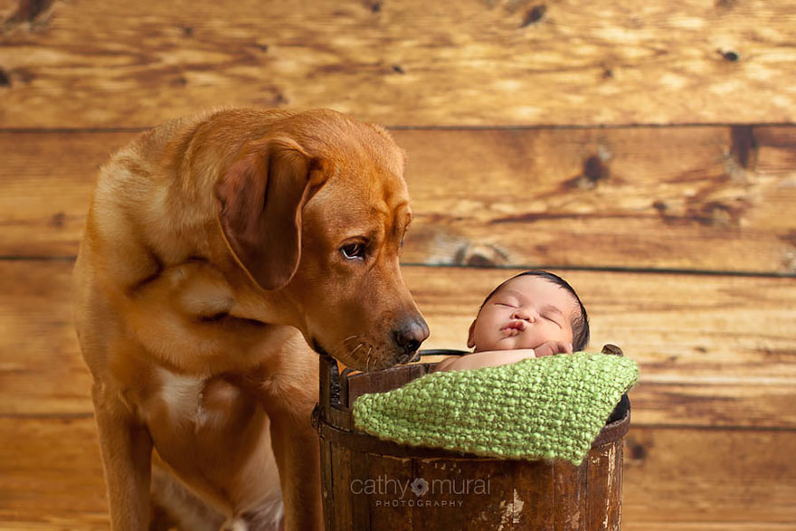 small-babies-children-big-dogs-21