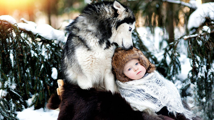small-babies-children-big-dogs-5