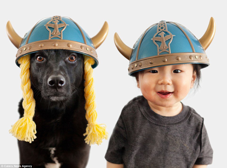 25F0C77F00000578-2963899-Zoey_a_rescue_dog_wears_a_viking_hat_in_complete_with_braids_whi-a-83_1424626414612