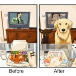 Imagens mostram a vida antes e depois de ter um pet