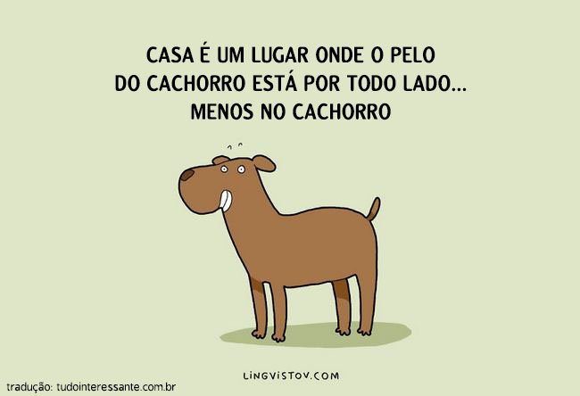 coisas-donos-cachorros-entendem-2