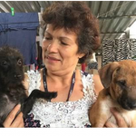 Com 80 animais em casa, protetora resgata cães e gatos abandonados na Cracolândia