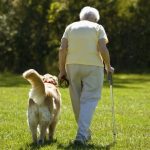 Estudo revela como idosos que vivem com um cão tem uma vida melhor