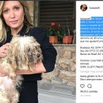 ONG de Luisa Mell resgata 135 cães de maus-tratos em canil de Osasco