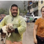 Cachorro ajuda a localizar corpo do dono em Guarujá