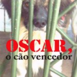 Oscar, o cão vencedor