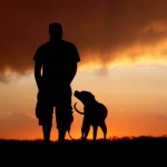 4 razões científicas para adotar um cão