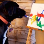 Lucro dos quadros são doados para outros cães 