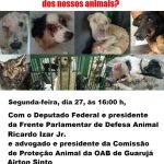 Vamos discutir a situação dos animais de Guarujá