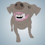 Como descobrir pelos dentes a idade do seu cão