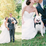 Casamentos e cães, uma união possível