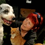 “Parem de comer gatos e cães”, dizem ativistas suíços