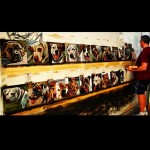 Artista homenageia 5.500 cachorros mortos 