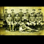 Fotos inéditas dos cães da Primeira Guerra Mundial