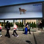 Campanha interativa promove adoção de cães
