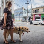 Taxista se nega a transportar cega com cão-guia