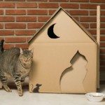 7 casas criativas para fazer para o seu gato