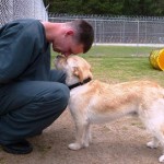 Detentos adestram cães que seriam sacrificados por comportamento violento