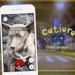 Prefeitura de Esteio cria campanha Catioro Go! para estimular adoção de cães abandonados