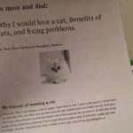 Garota cria relatório de 6 páginas para convencer pais a ter gato