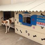 Eles criaram ‘cãodomínios’ para cachorros de rua e a ideia viralizou