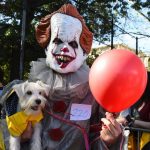 Nova York tem desfile canino de fantasias de Halloween