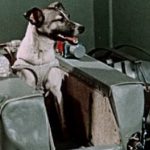 7 fatos sobre Laika, o primeiro cachorro a ir para o espaço