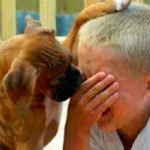 “O cachorro escuta tudo”, inclusive a sua lágrima antes de cair