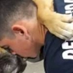Cadela morre abraçada ao dono durante queima de fogos de artifício