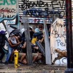 Cão que lutou ao lado dos manifestantes no Chile é adotado