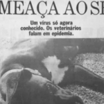 Cães foram vítimas de coronavírus nos anos de 1980